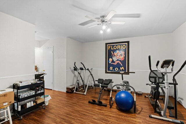 exercise room with hardwood / wood-style flooring and ceiling fan