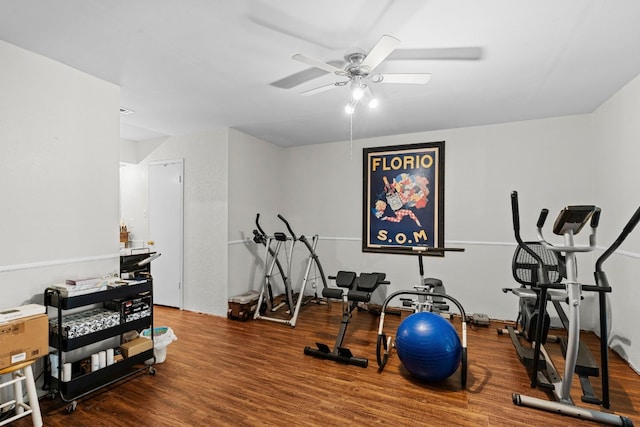 11404 Fm 1826, Austin, TX 78737 - workout room with ceiling fan and wood finished floors