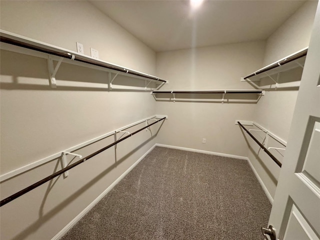 walk in closet with carpet