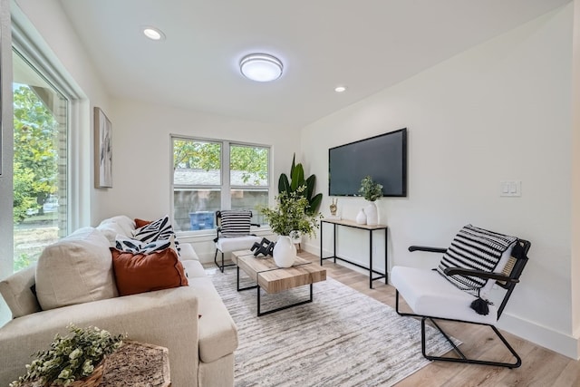 living room featuring light hardwood / wood-style flooring