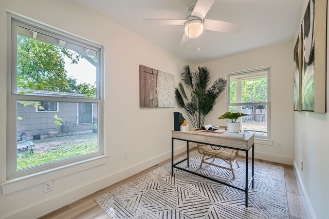 office featuring ceiling fan, light hardwood / wood-style floors, and a wealth of natural light