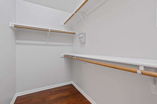 walk in closet with wood-type flooring