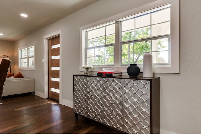 interior space featuring plenty of natural light and dark hardwood / wood-style flooring