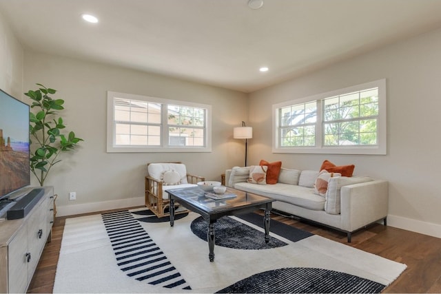 living room with dark wood-type flooring