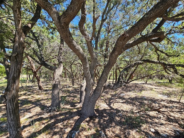 Listing photo 2 for 254 Flanders Dr, Fischer TX 78623