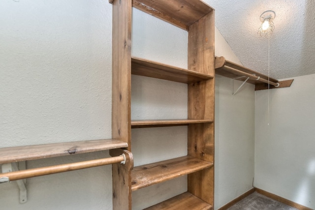 spacious closet with carpet