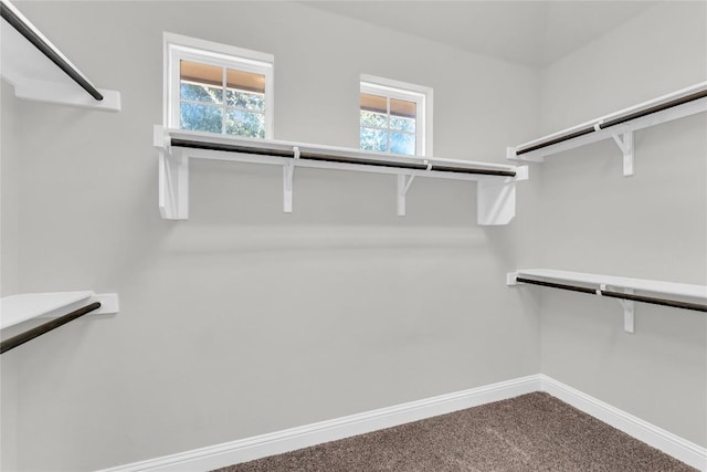110 Magona Trl, Georgetown, TX 78628 - spacious closet featuring carpet floors