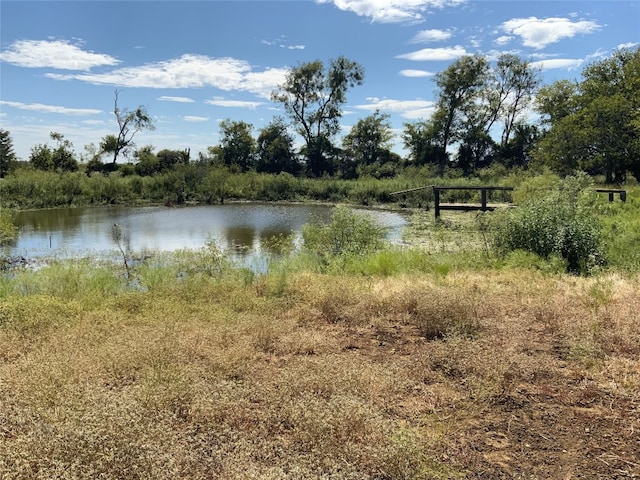 8989 Fm 141st Rd, Dime Box TX, 77853 land for sale