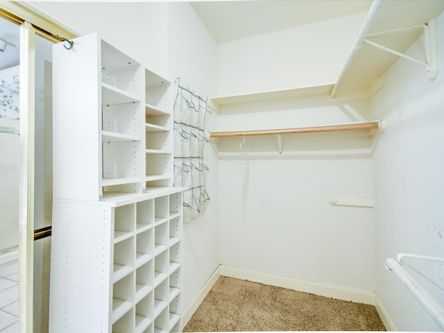 spacious closet featuring carpet floors