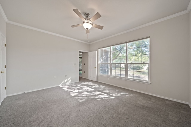 carpeted empty room with ceiling fan and crown molding