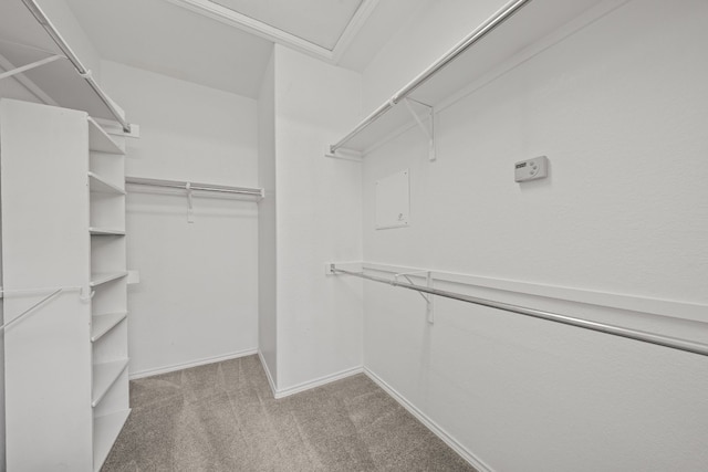 spacious closet with light colored carpet