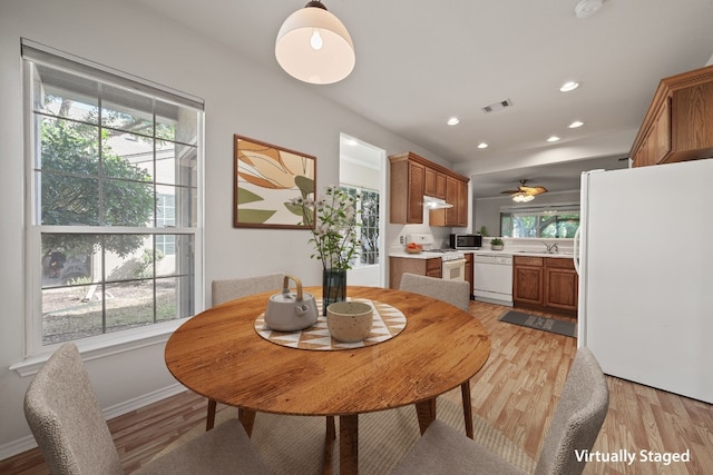 dining room featuring light hardwood / wood-style floors, ceiling fan, and sink