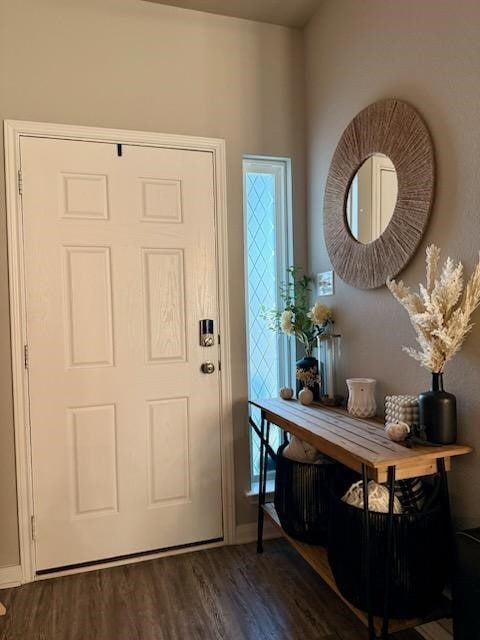 foyer entrance featuring dark wood-type flooring