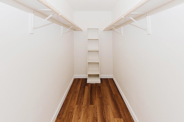 walk in closet featuring dark hardwood / wood-style floors