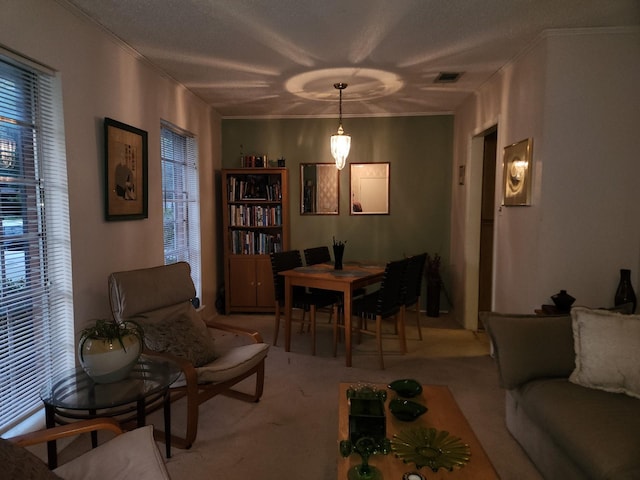 living room with light colored carpet and a textured ceiling