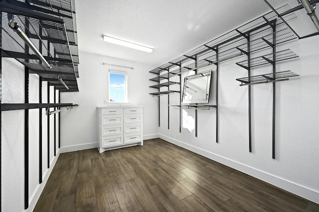 spacious closet featuring dark wood-type flooring