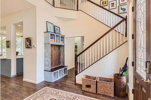 entryway featuring dark wood-type flooring and a high ceiling