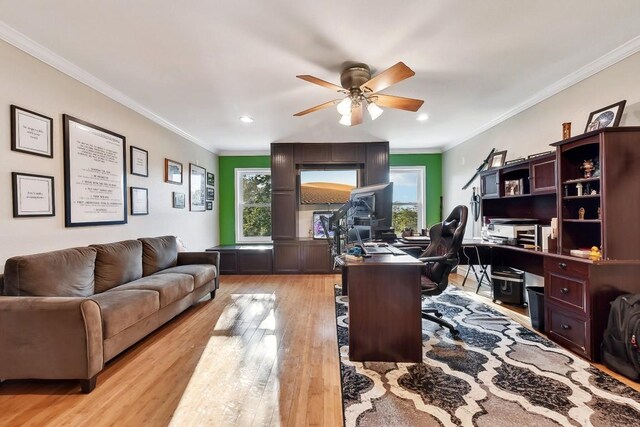 office area featuring a wealth of natural light, ornamental molding, and light hardwood / wood-style flooring