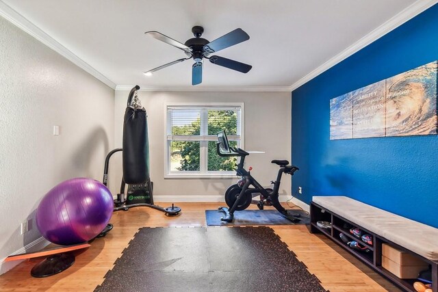 exercise room featuring crown molding, hardwood / wood-style flooring, and ceiling fan