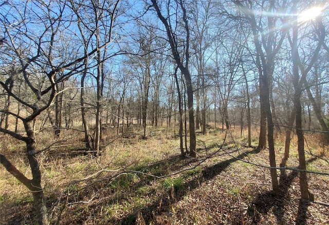 view of local wilderness