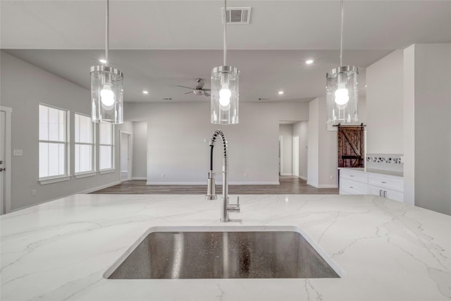 kitchen with ceiling fan, sink, hardwood / wood-style floors, and hanging light fixtures