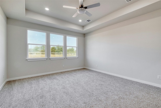 spare room featuring carpet floors, a healthy amount of sunlight, and a raised ceiling