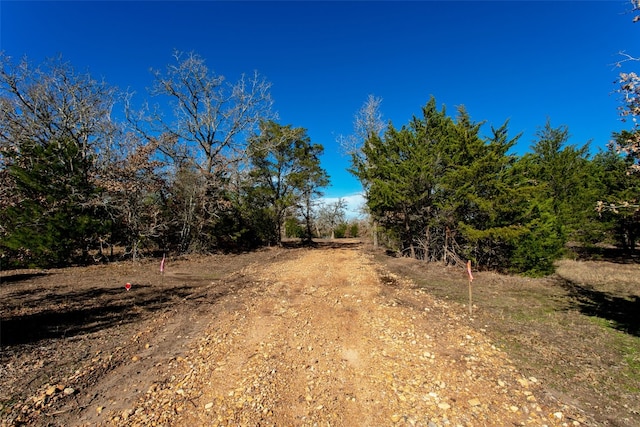 Listing photo 2 for 5988 Fm 180, Ledbetter TX 78946