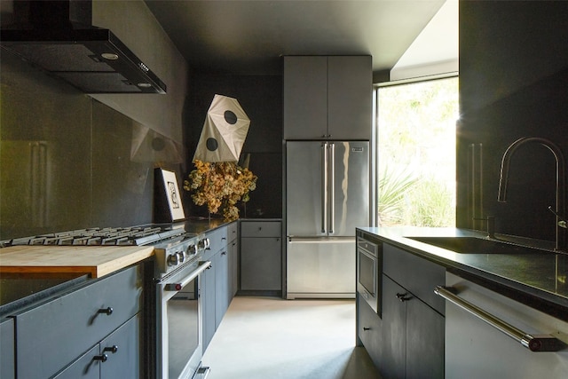 kitchen featuring high quality appliances, sink, plenty of natural light, and ventilation hood