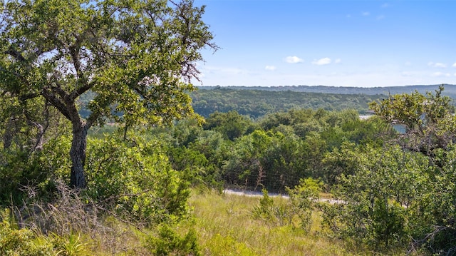 12216 Honey Mesquite Way, Austin TX, 78738 land for sale