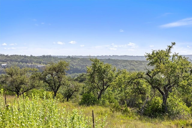 12216 Honey Mesquite Way, Austin, TX 78738