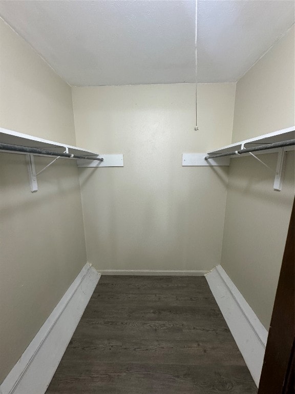 walk in closet featuring dark wood-type flooring