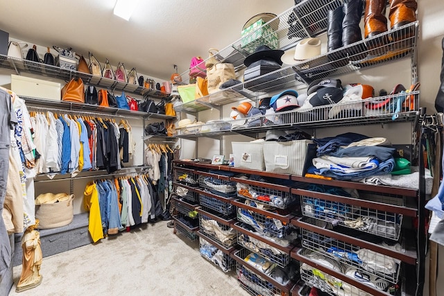 spacious closet with light colored carpet