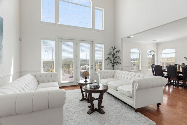 living room featuring a towering ceiling and hardwood / wood-style floors