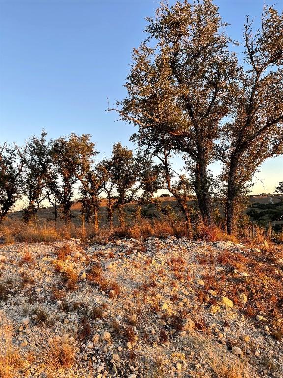LOT28 N Scenic Hills Ct, Blanco, TX 78606