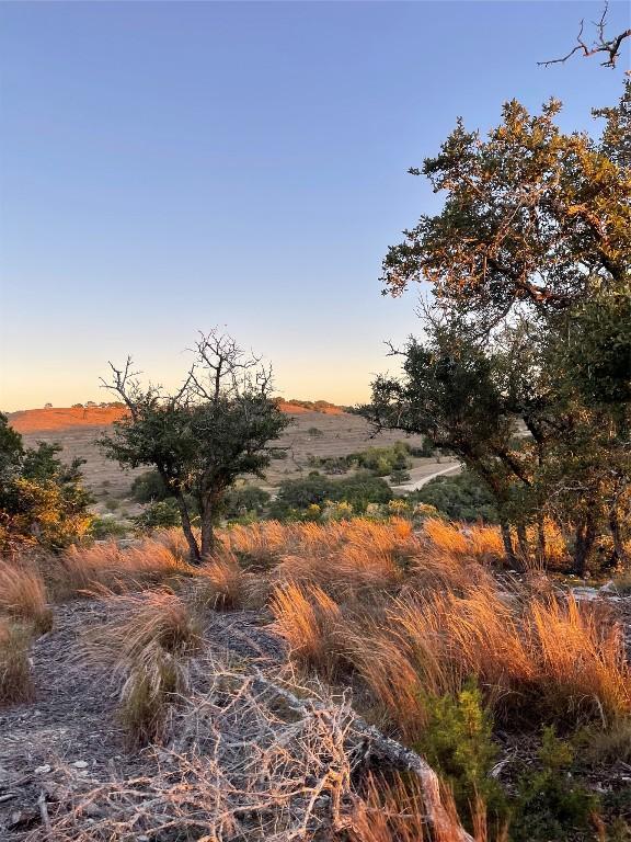 LOT28 N Scenic Hills Ct, Blanco, TX 78606