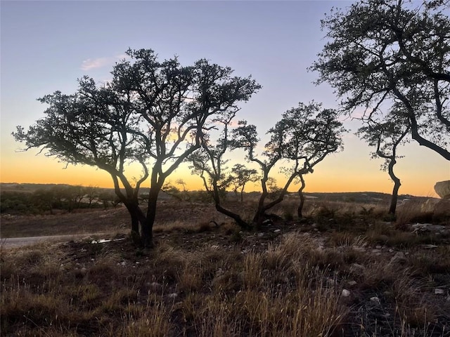LOT28 N Scenic Hills Ct, Blanco, TX 78606