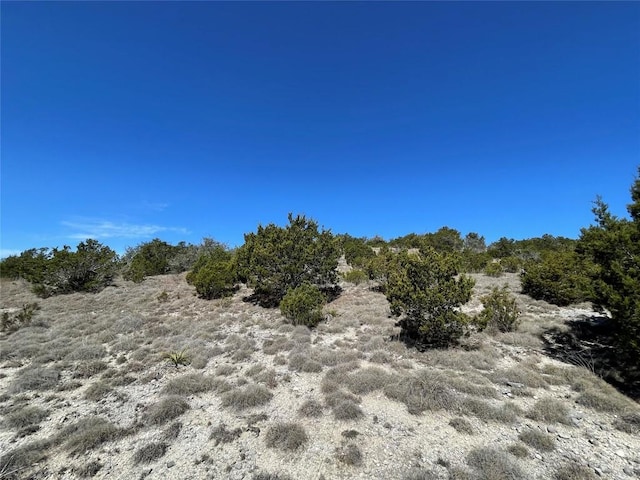 LOT28 N Scenic Hills Ct, Blanco, TX 78606