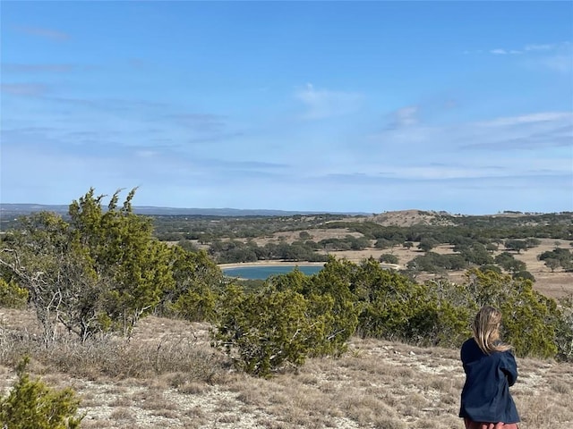LOT28 N Scenic Hills Ct, Blanco, TX 78606