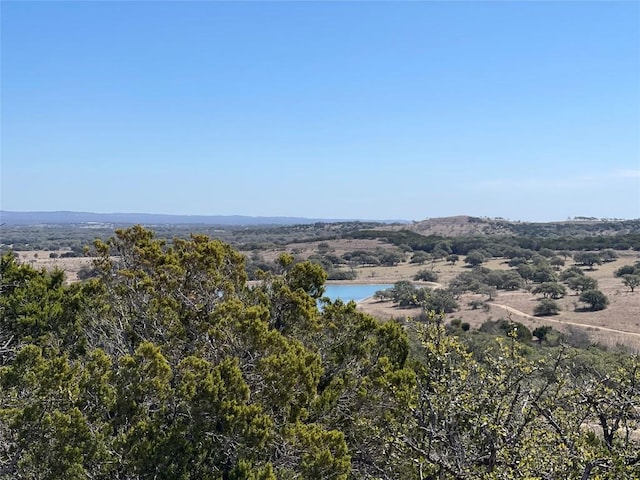 LOT28 N Scenic Hills Ct, Blanco, TX 78606