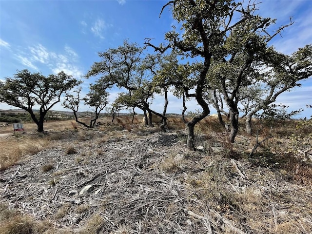 LOT28 N Scenic Hills Ct, Blanco, TX 78606