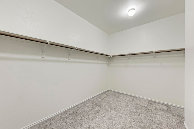 spacious closet with carpet flooring