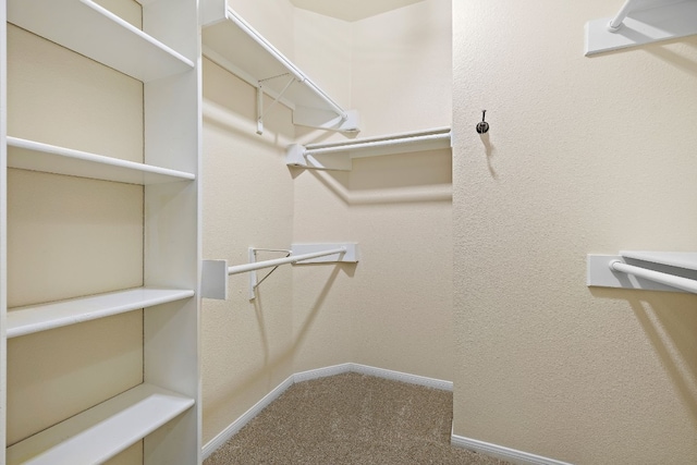 spacious closet with carpet flooring