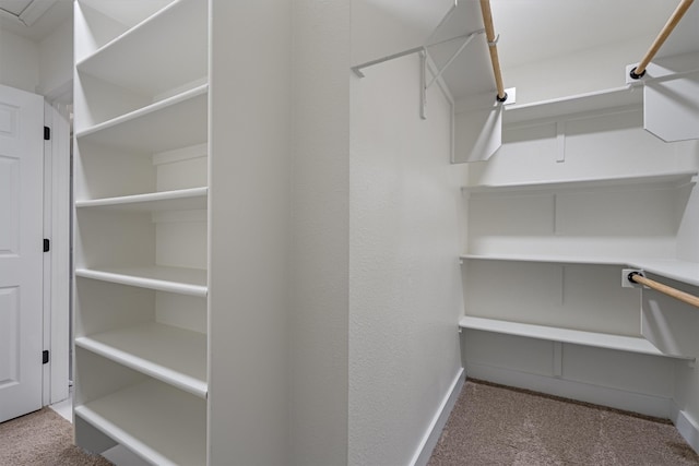 walk in closet with carpet flooring