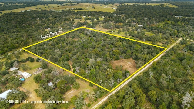 17187 County Road 433, Snook, TX 77878