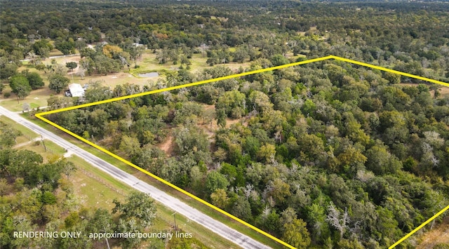17187 County Road 433, Snook, TX 77878