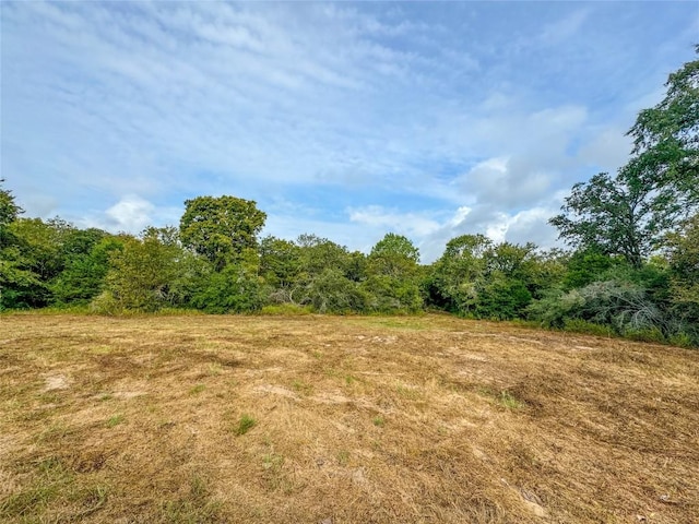 17187 County Road 433, Snook, TX 77878