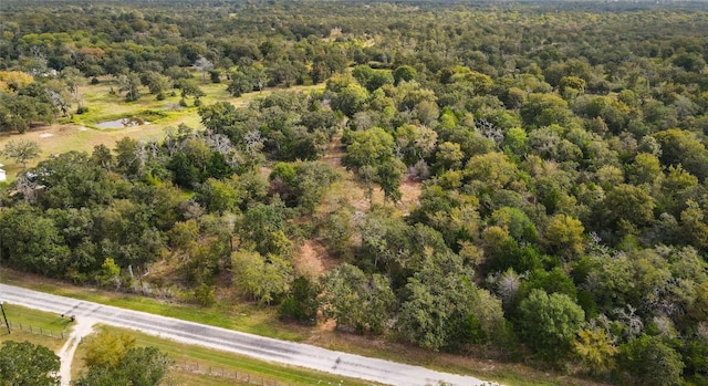 17187 County Road 433, Snook, TX 77878