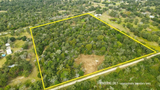 17187 County Road 433, Snook, TX 77878