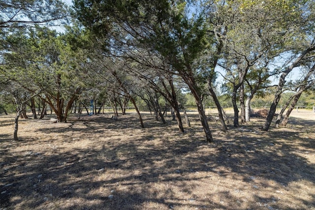 221 Old Tower Rd, Liberty Hill, TX 78642 - photo 31