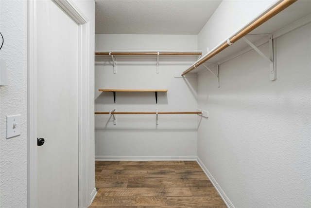 spacious closet featuring dark wood-type flooring